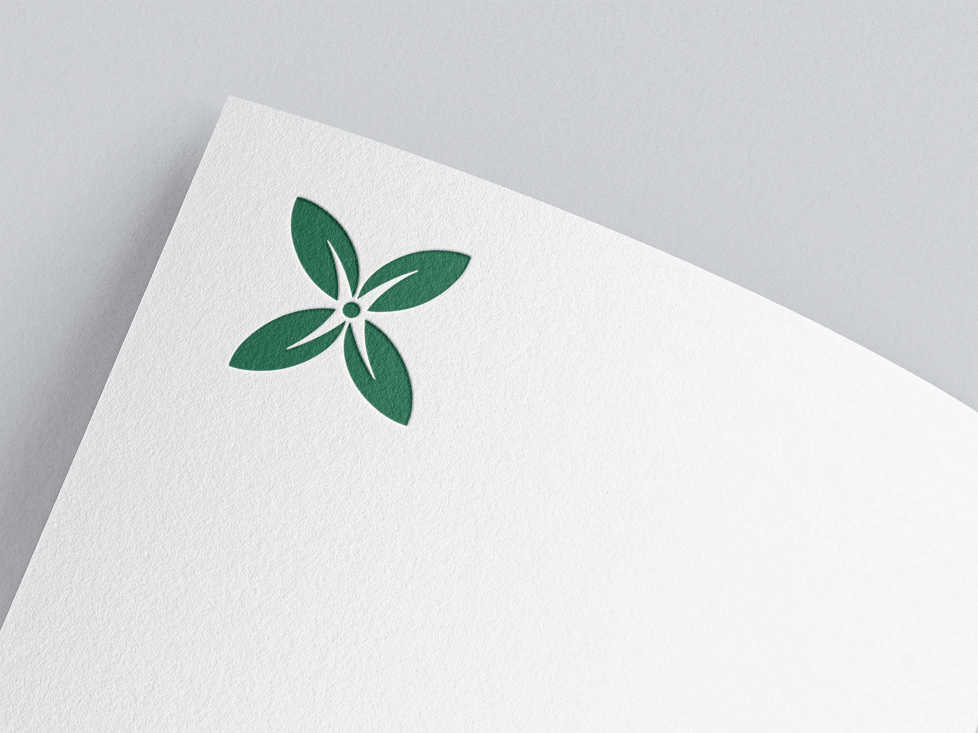 Logo Easy Sustainability verde su carta intestata con icona floreale stilizzata.